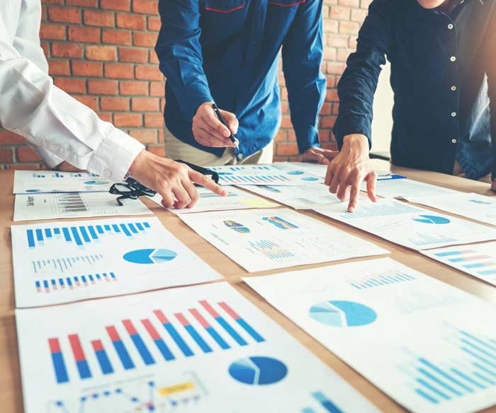 Team of consultants analyzing company's data